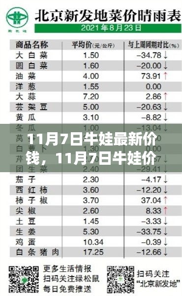 产品 第571页