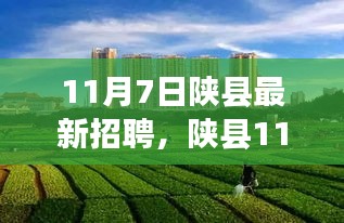 产品 第570页