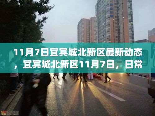 评价 第566页