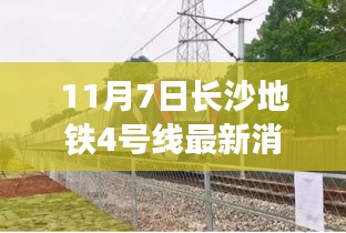 产品 第564页