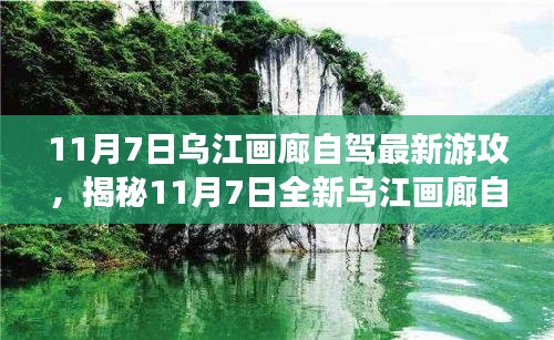 商品分类 第545页