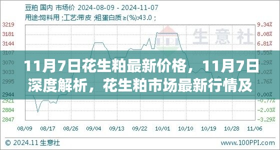 风驰电掣 第47页