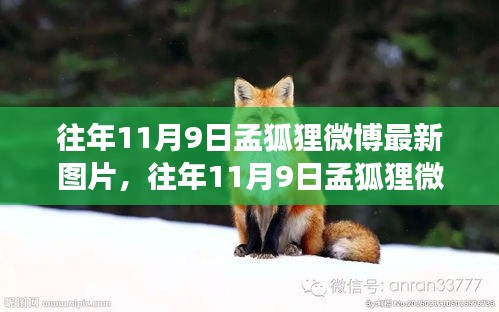 花开无言 第40页