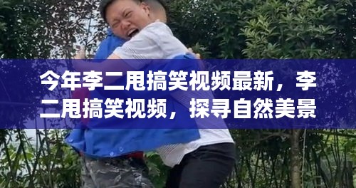 条款 第541页