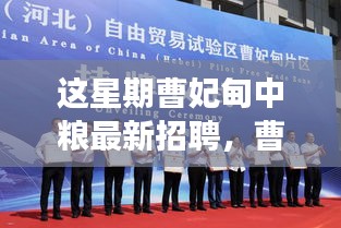 手舞足蹈 第47页