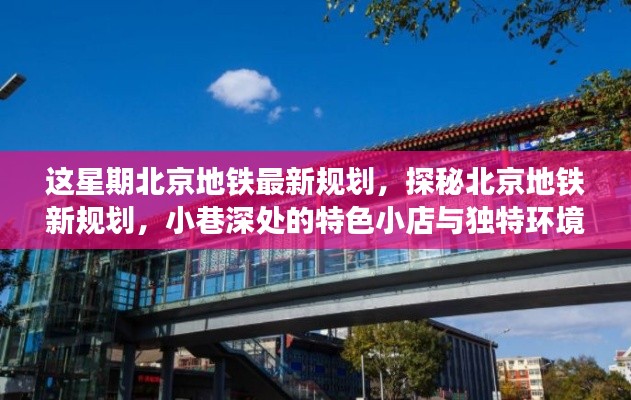 风驰电掣 第44页