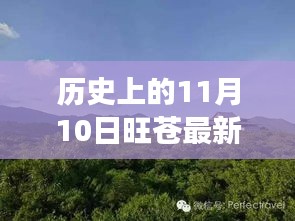 虎视眈眈 第42页