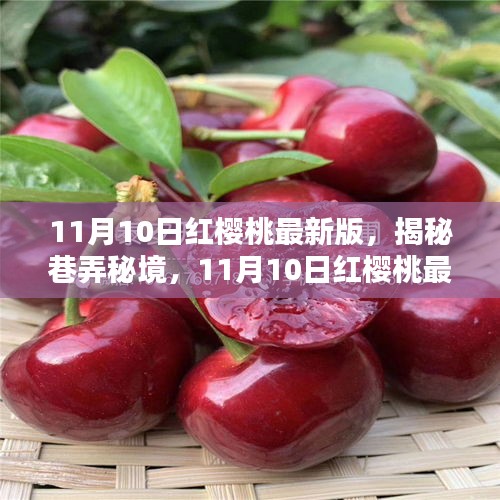 花开无言 第36页