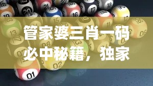 案例 第505页