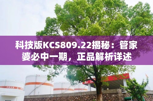 zhanchiyufei 第15页