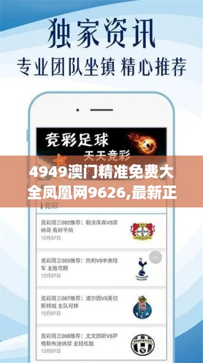 xingjirufei 第12页