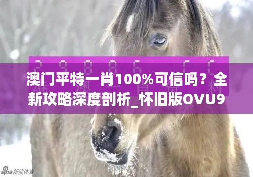 花开无言 第24页