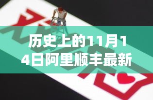 条款 第260页