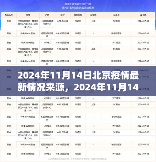 橘虞初梦 第22页