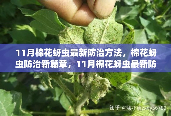悠然自得 第25页
