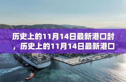 条款 第253页