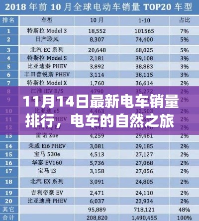对答如流 第23页