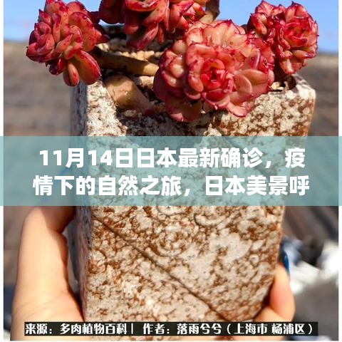 垂头丧气 第22页