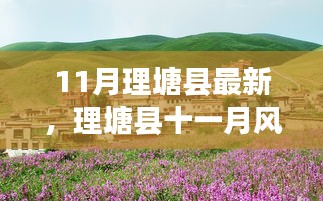 橘虞初梦 第19页