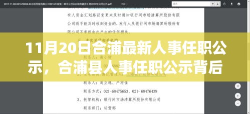 案例 第223页