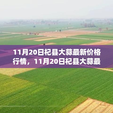 虎视眈眈 第21页