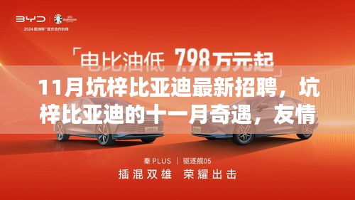没精打采 第18页