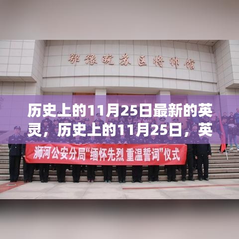 走马观花 第17页