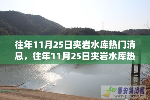 条款 第211页