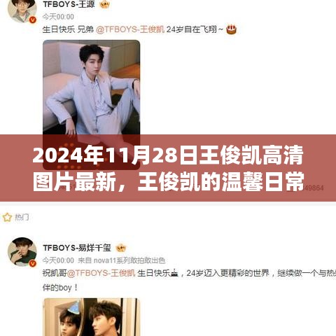 条款 第206页