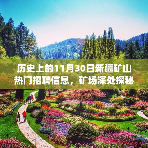 条款 第198页