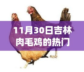 新闻 第192页