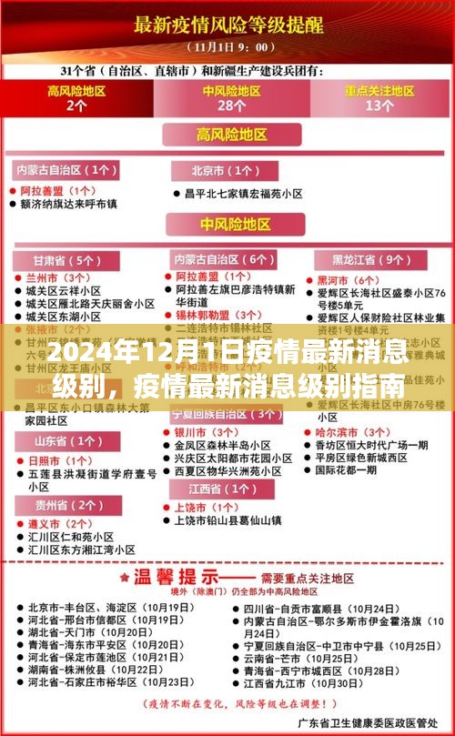条款 第196页