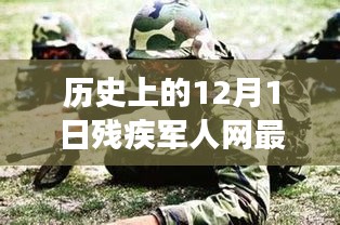 条款 第194页