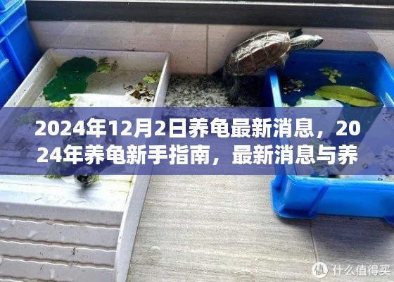 条款 第181页