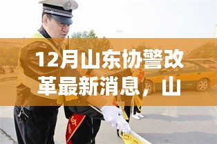 条款 第180页