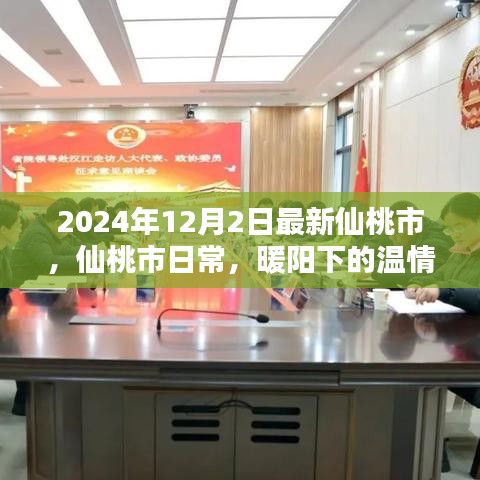 条款 第179页