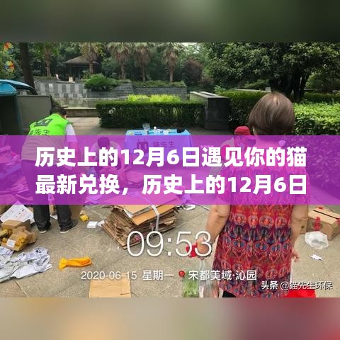 滔滔不绝 第11页