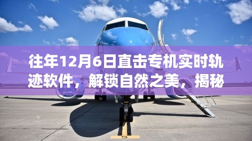 dazhangqigu 第8页