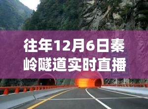 xiangguiyuzun 第8页