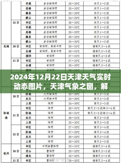 天津气象之窗，解读天津天气实时动态图片背后的故事（2024年12月22日实时更新）