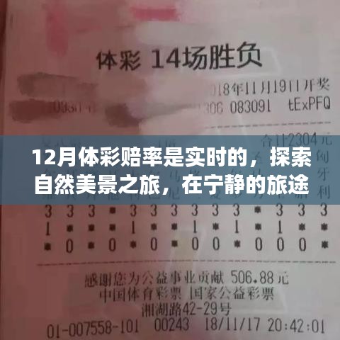 guibuzhaojiao 第8页