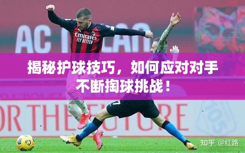 花开无言 第5页