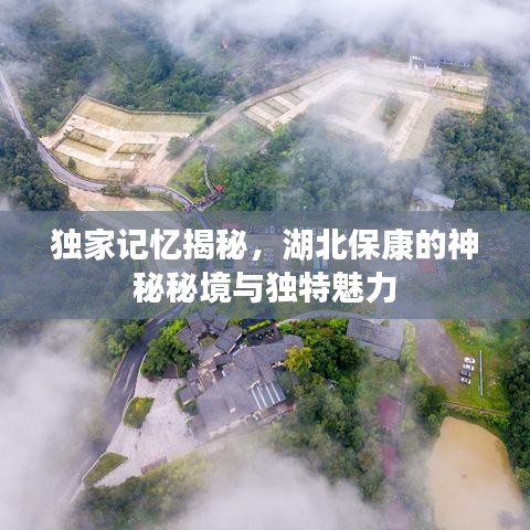 条款 第129页