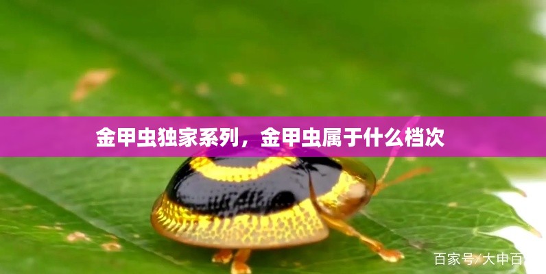 案例 第122页