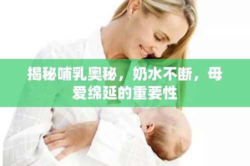 qinshouyimei 第8页