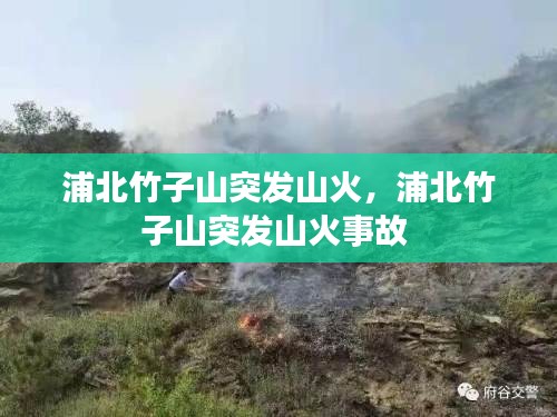 pangaojiegui 第7页