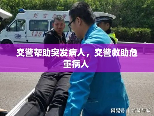 niaolibieguan 第6页