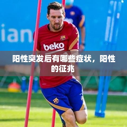 guiyinjianbi 第6页