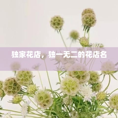 qinshouyimei 第7页