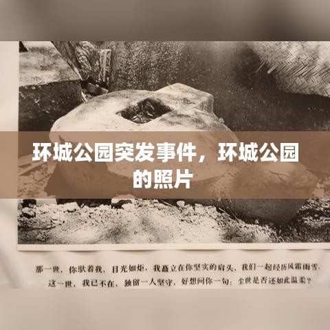 zhuodiaoweipu 第6页